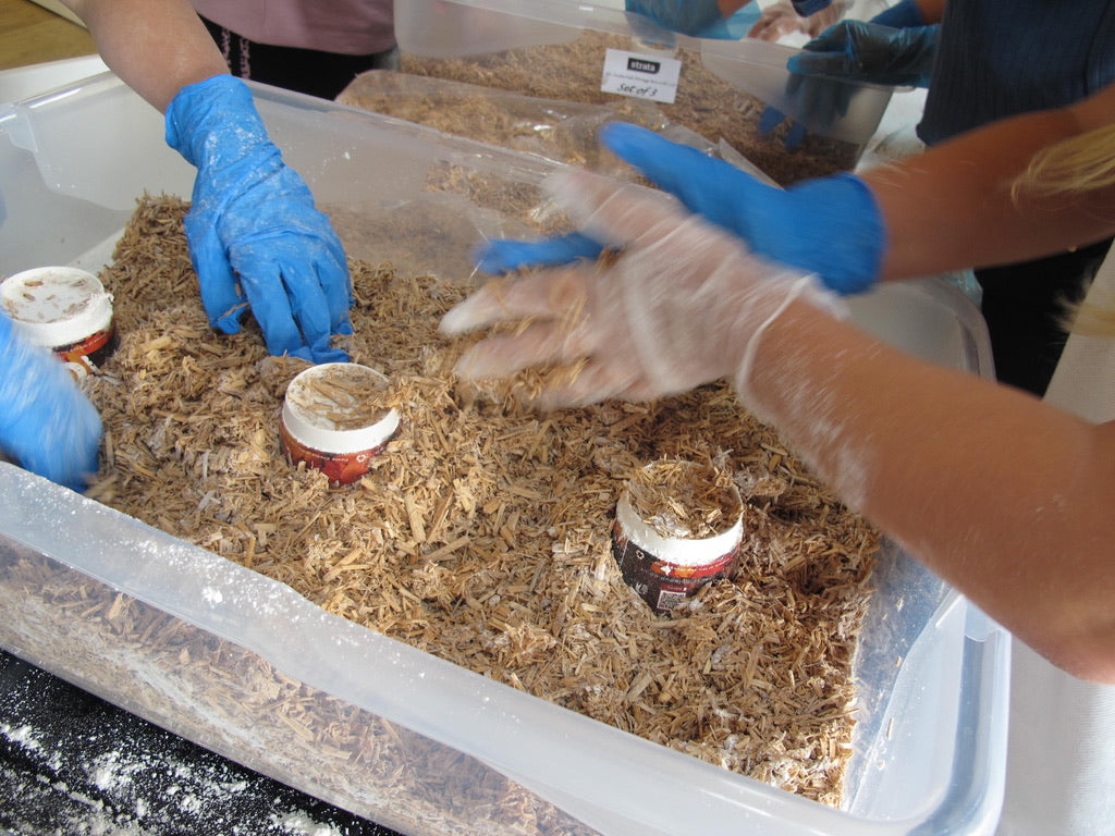 Moulding Mycelium