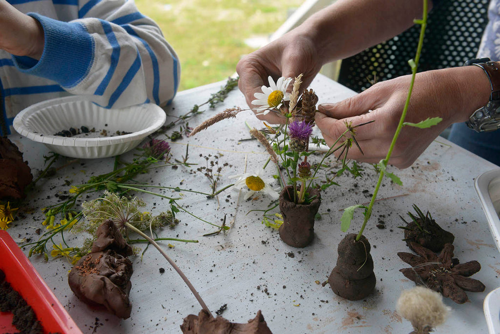 Native Wildflower Seed Bombs